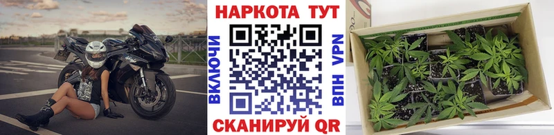 Купить наркотики цена Петухово Конопля  Меф  kraken tor  ГАШ  A-PVP 