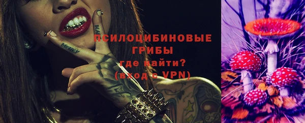 Альфа ПВП Армянск