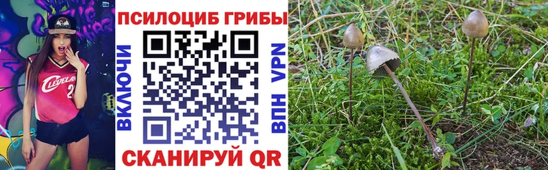 цена наркотик  Петухово  Псилоцибиновые грибы Cubensis 